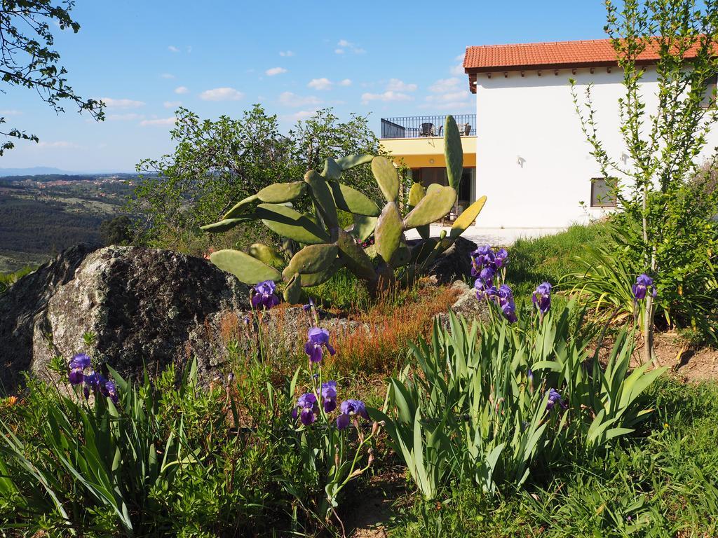 Quinta Vale Porcacho Bed & Breakfast *